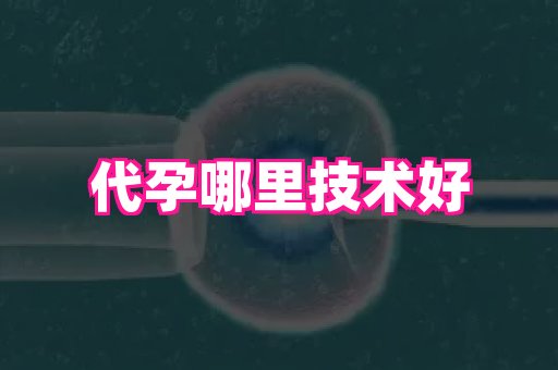 河南助孕网站 1