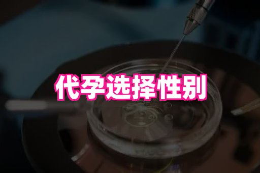 河南助孕网站 2