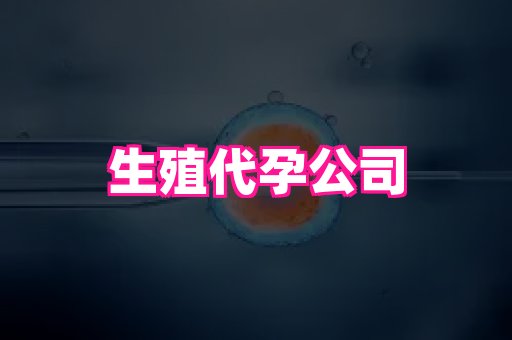 河南助孕网站 4
